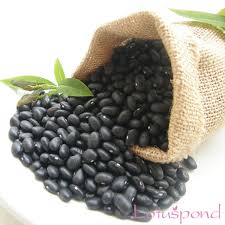 Bean Frijol Negro
