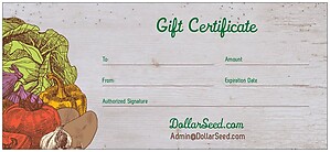 Gift Certificates