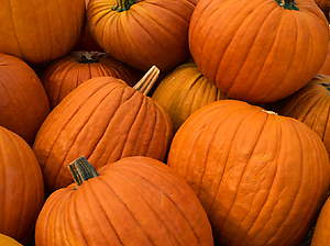 Pumpkin Jack O' Lantern