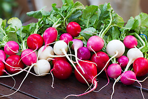 Radish Easter Egg Blend