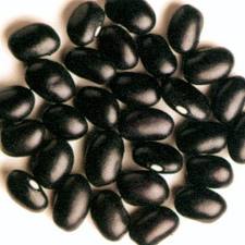 Organic Black Turtle Beans