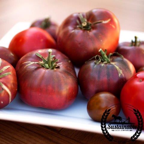 Tomato Cherokee Purple