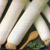 Leek American Flag