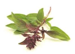 Basil Licorice