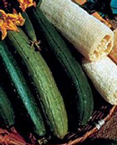 Gourd Luffa Sponge