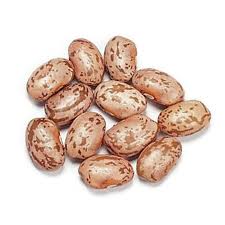 Organic Pinto Beans