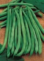 Bean Blue Lake Pole