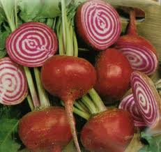 Beet Chiogga