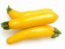 Squash Golden Zucchini