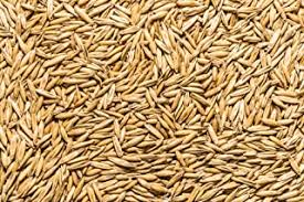 Organic Whole Oat