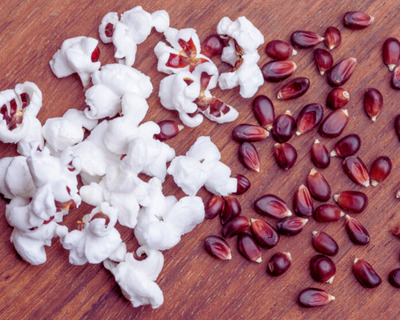 Corn Red Popping
