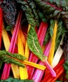 Swiss Chard Rainbow Blend