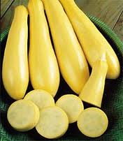 Squash Prolific Yellow Straightneck