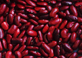 Bean Small Red
