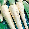 Parsnip Harris Model