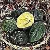 Squash Acorn