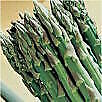 Asparagus Mary Washington